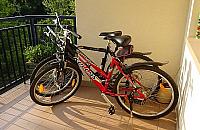 Kradną rowery choć to nie Leningrad