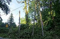 Byle burza i Białołęka bez prądu. Jak długo?