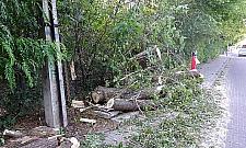 Byle burza i Białołęka bez prądu. Jak długo?