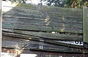 Spryciarz z Boernerowa