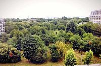 Najmniejszy "park" świata powstanie na Odolanach