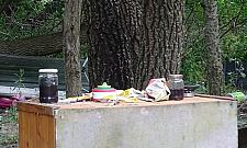 Tak się żyje na Łopianowej