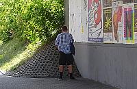 Czy to prawdziwy warszawiak sika pod wiaduktem?