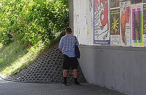 Czy to prawdziwy warszawiak sika pod wiaduktem?