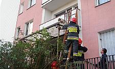 Pies utknął na balkonie. Akcja strażaków na Kwitnącej