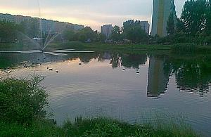 Topielec w Stawach Brustmana