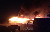 Pożar w stadninie koni na Strużańskiej