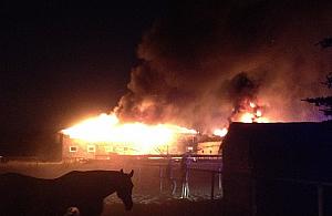 Pożar w stadninie koni na Strużańskiej