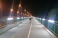 Na dwóch kółkach przez krainę owadów