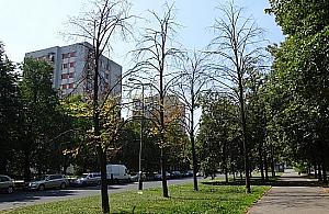 Bródno i Targówek dosłownie wysychają!