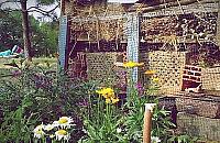 Dwukrotnie spalono już pszczeli hotel na Fortach. "I tak odbudujemy"