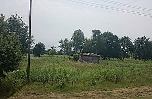 Zielona Białołęka - ta nazwa szkodzi rozwojowi