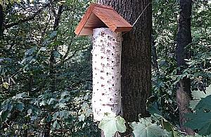 Mamy setki nowych sąsiadów. Pasiastych