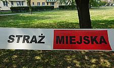 Latarnie runęły na trawnik. Nikogo to nie obchodzi