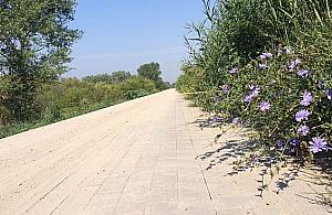 Trwa brukowanie wału wiślanego