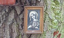 Kto powiesił kapliczkę na dębie z okazji Millennium?