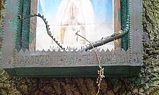 Kto powiesił kapliczkę na dębie z okazji Millennium?