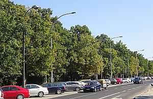 Koniec tandety wzdłuż głównej ulicy Bielan