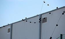 Prokurator w chotomowskiej szkole?