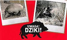 Jabłonna: krwawe łowy w blasku Księżyca