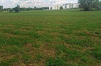 Za trzy lata szkoła przy Gilarskiej?