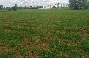 Za trzy lata szkoła przy Gilarskiej?