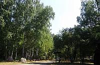 Plaga kleszczy w parkach