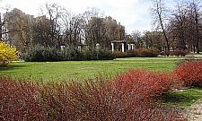 Plaga kleszczy w parkach