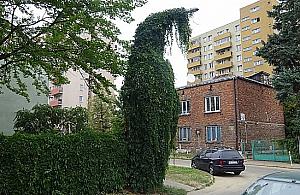 Zaczarowana latarnia na Nowym Bródnie