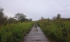 Wszystko, co chcielibyście wiedzieć o remoncie na wale wiślanym