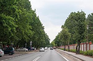 Na Korkowej wreszcie będzie jasno