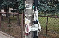 Latarnia roku na Aluzyjnej