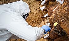 Fort Chrzanów: to nie był "złoty pociąg"