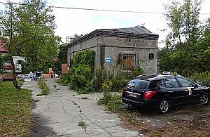 Dzicy lokatorzy solą w oku mieszkańców Lazurowej