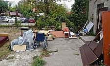 Dzicy lokatorzy solą w oku mieszkańców Lazurowej