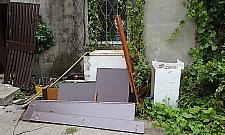 Dzicy lokatorzy solą w oku mieszkańców Lazurowej