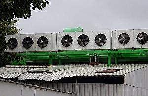 "Stokrotka" uciążliwym sąsiadem