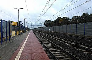 Po co Jabłonnie wspólny bilet?