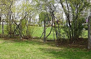 Ciekawa pamiątka na dawnej Wincentego