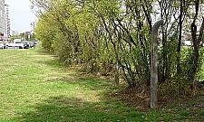 Ciekawa pamiątka na dawnej Wincentego