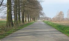 Co dalej ze Zdziarską? Zaproszenie na spotkanie