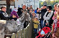 Dzień Lasu Bielańskiego: jarmark, kucyki i kabaret