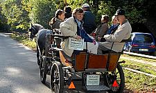 Dzień Lasu Bielańskiego: jarmark, kucyki i kabaret