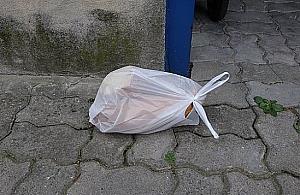 Głupota karmicieli ptactwa