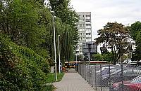 Najlepiej oświetlone krzaki na Bródnie