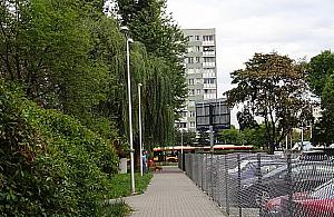 Najlepiej oświetlone krzaki na Bródnie