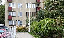 Najlepiej oświetlone krzaki na Bródnie