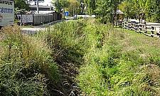 Co się dzieje z Kanałem Zaciszańskim?