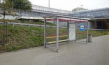 Kierowca mógł nas zabić, bo gadał przez telefon