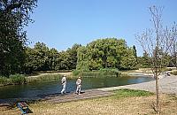 Park Szymańskiego pięknie się starzeje